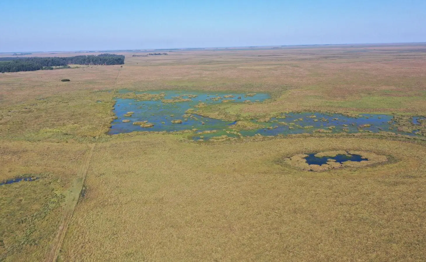 Campo Ituzaingo Corrientes 4