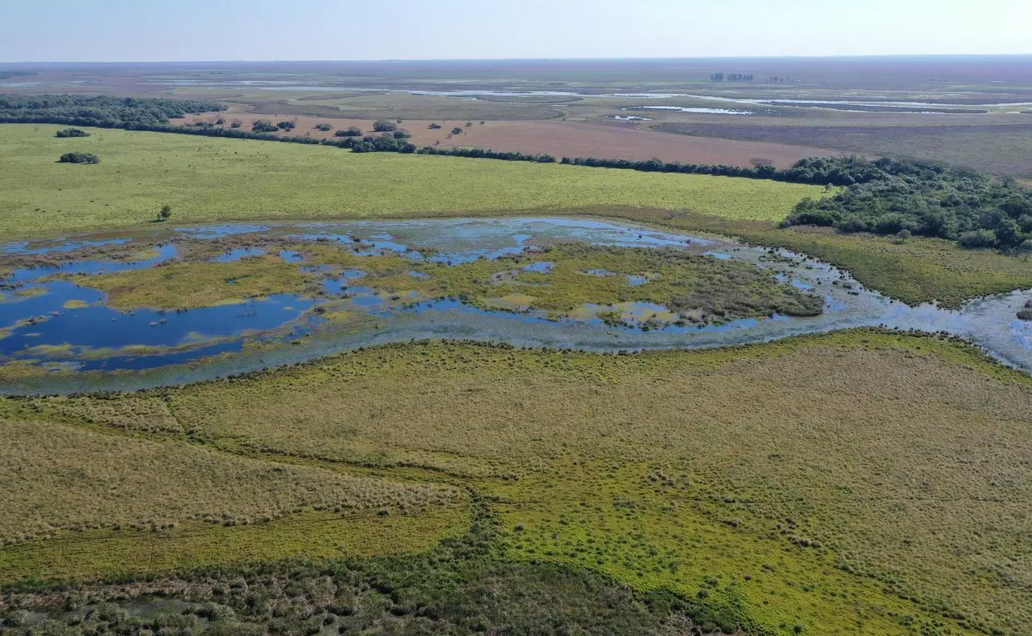 Campo Ituzaingo Corrientes 3