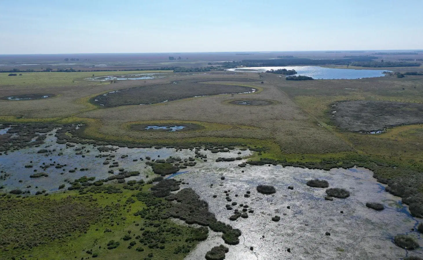 Campo Ituzaingo Corrientes 5