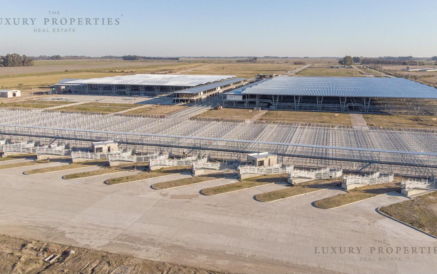 Foto de Terreno Venta Lote Comercial y Logística Polo Agroganadero Cañuelas PAC/MAC, imagen 3