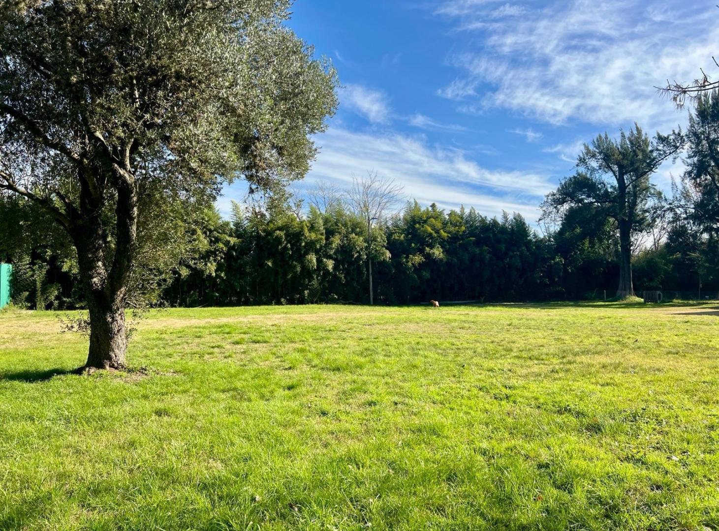 Foto de Terreno en Benavidez, imagen 1
