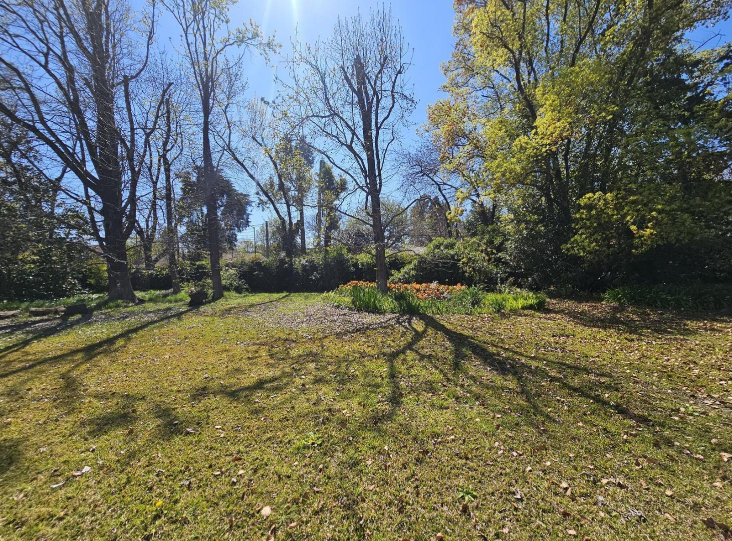 Foto de Terreno en venta en San Isidro, imagen 4