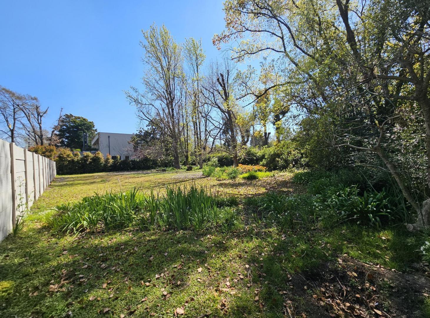 Foto de Terreno en venta en San Isidro, imagen 2