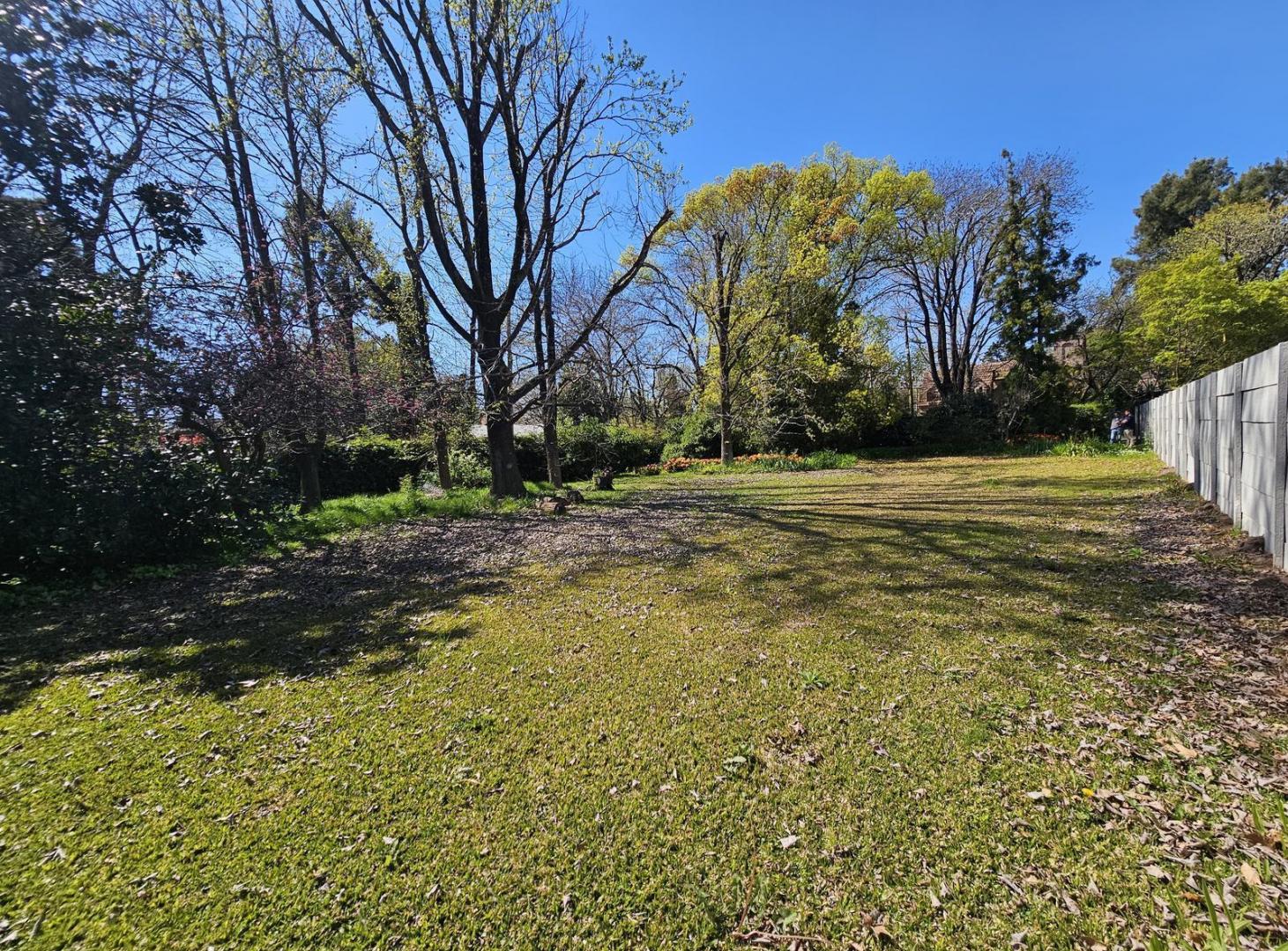 Foto de Terreno en venta en San Isidro, imagen 1