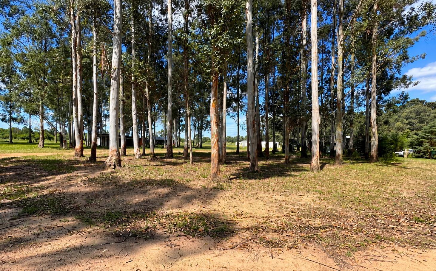 Foto de Terreno en Venta en Colón, imagen 2