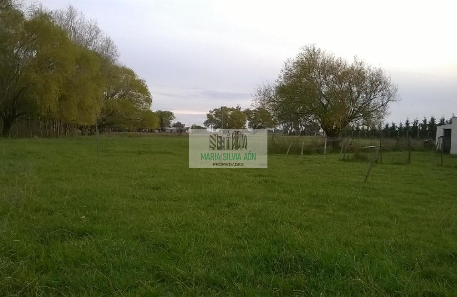 Foto de VENTA/ FINACIA QUINTA CORONEL VIDAL, imagen 3