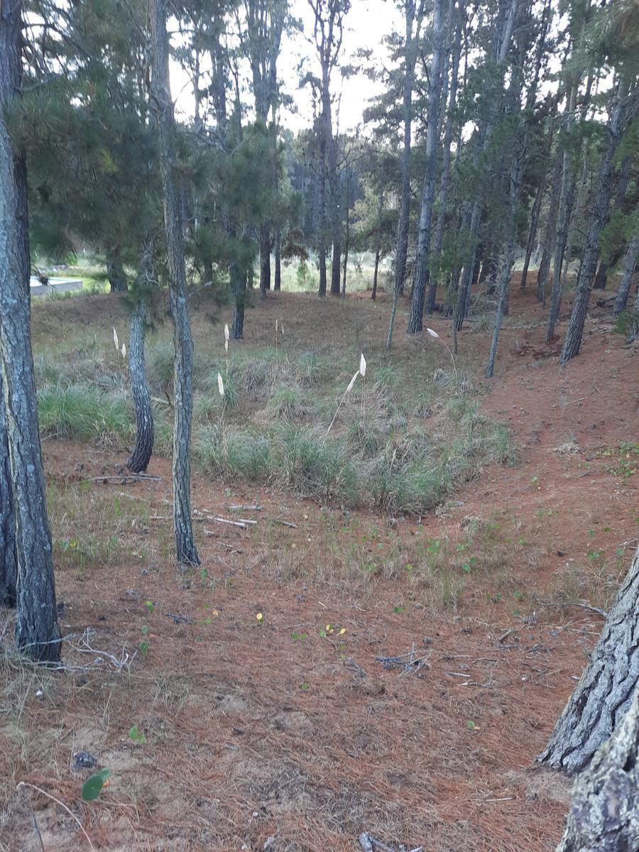 Terreno en Barrio Costa Esmeralda 2
