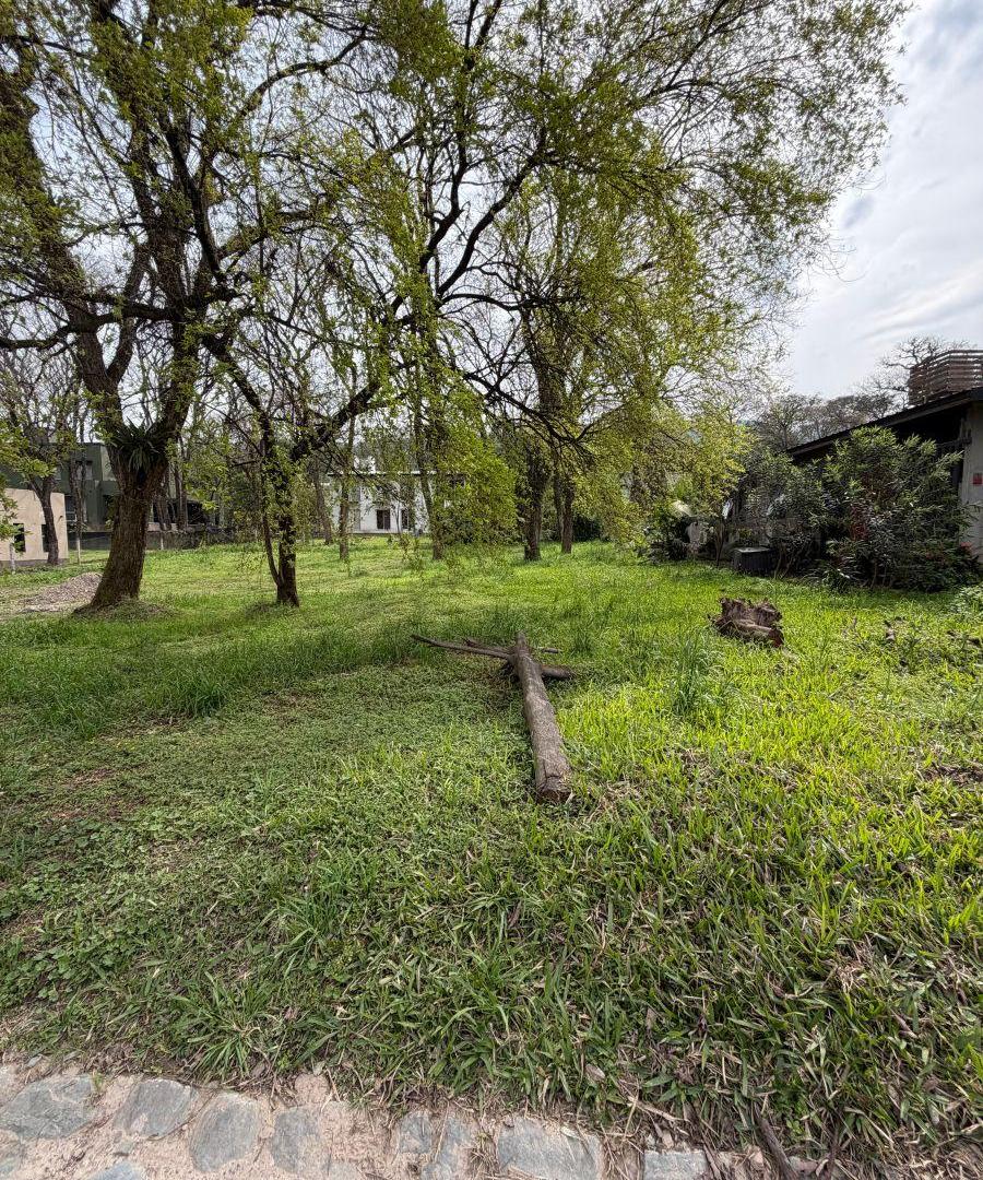 Foto de COUNTRY LA ARBOLEDA - LOTES EN VENTA, imagen 2