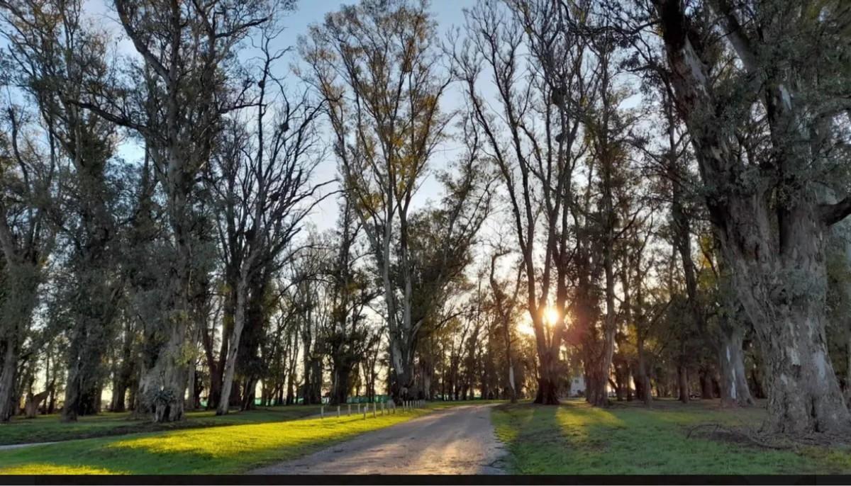 Foto de Oportunidad – Lote 2.000 m² en Santa Inés, Comarcas de Luján – Dueño, imagen 1
