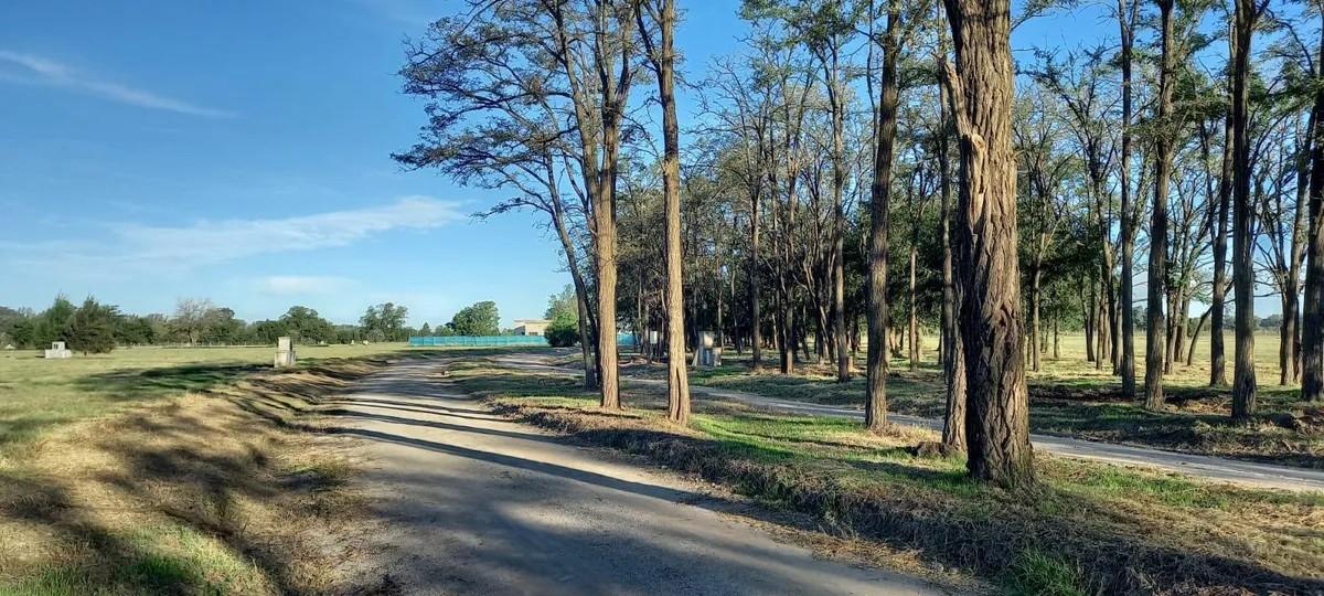 Foto de Oportunidad – Lote 2.000 m² en Santa Inés, Comarcas de Luján – Dueño, imagen 3
