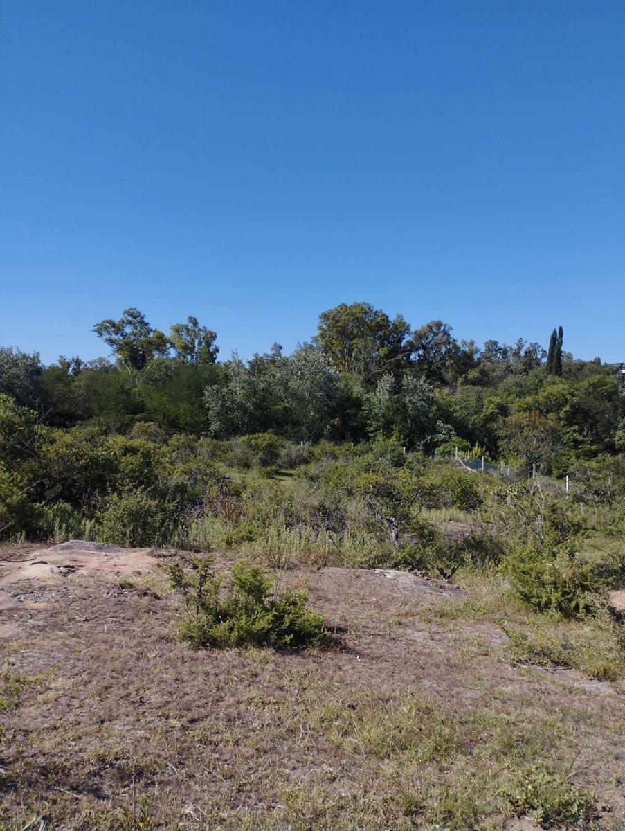 Lote de 8678 m² en Tanti, Hermoso Predio Cerrado 4