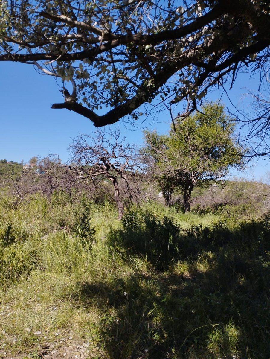 Lote de 8678 m² en Tanti, Hermoso Predio Cerrado 2