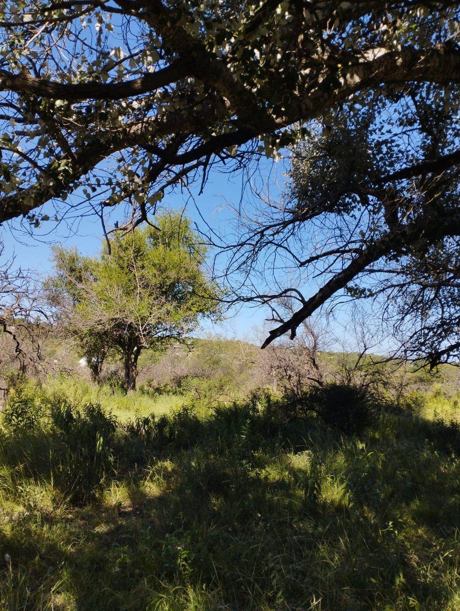 Lote de 2000 m² en Tanti en un Excelente Entorno 1