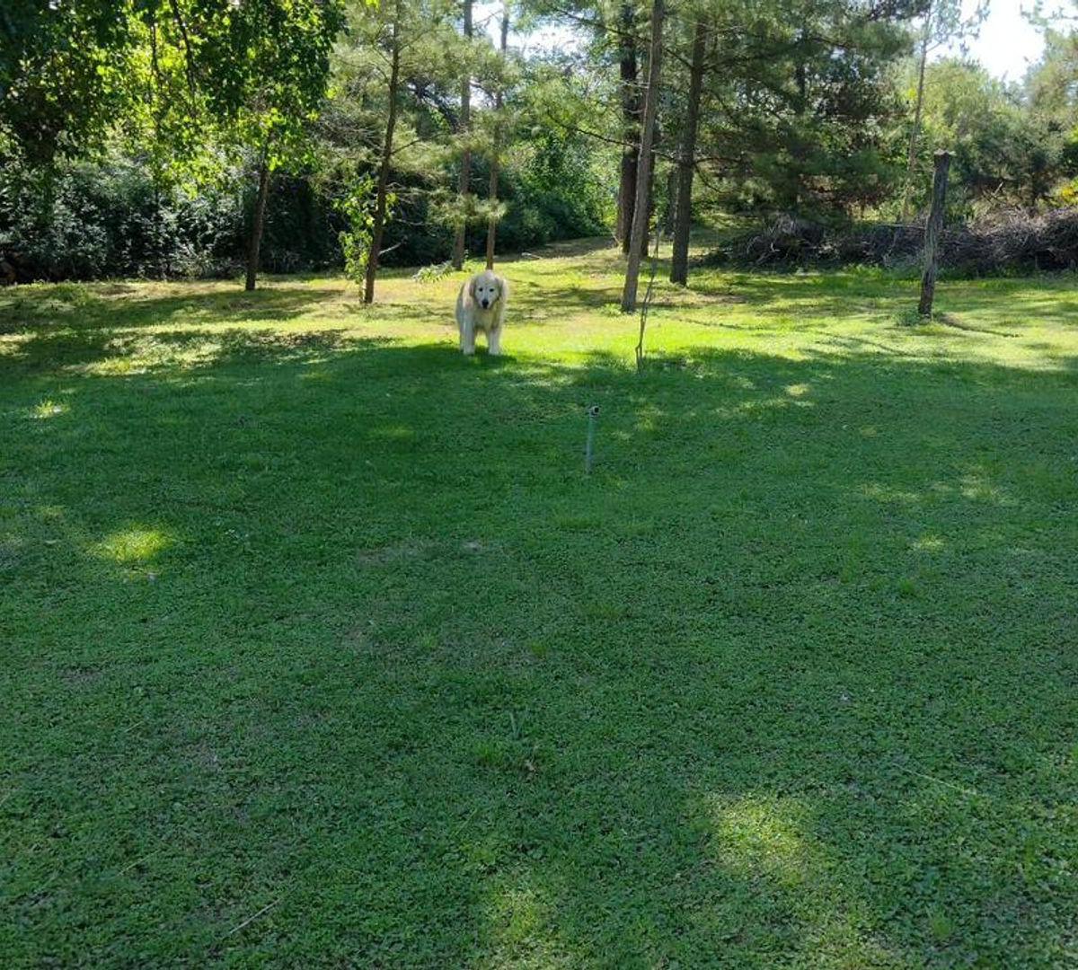 Lote en Los Aromos de 5104 m Costa Rio / Escritura 4