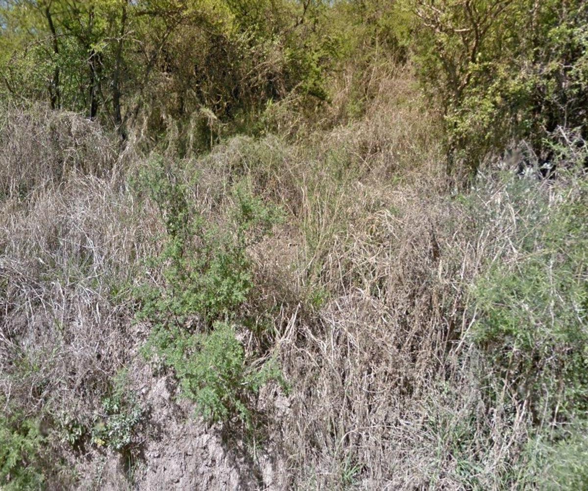 Terreno en Salsipuedes de 360 m² 2