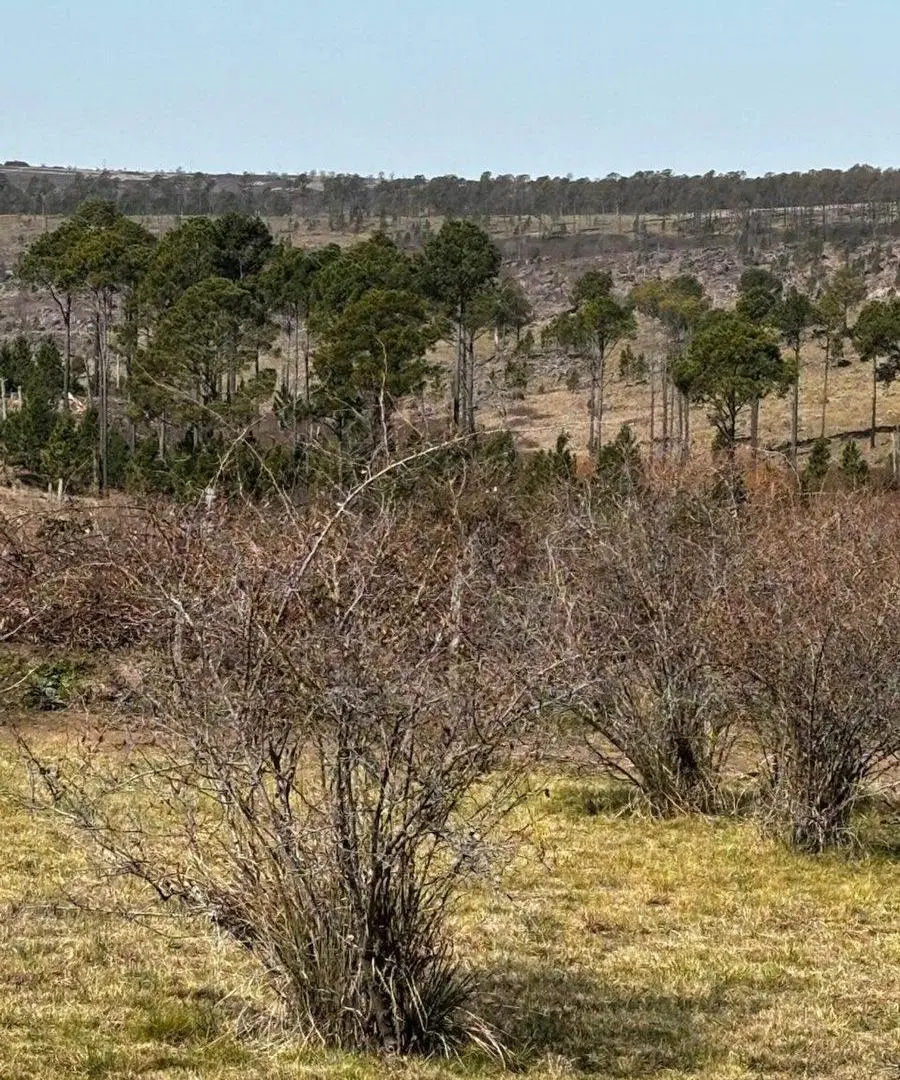 SE VENDE TERRENO 380m2 EL DIVISADERO VILLA YACANTO 4