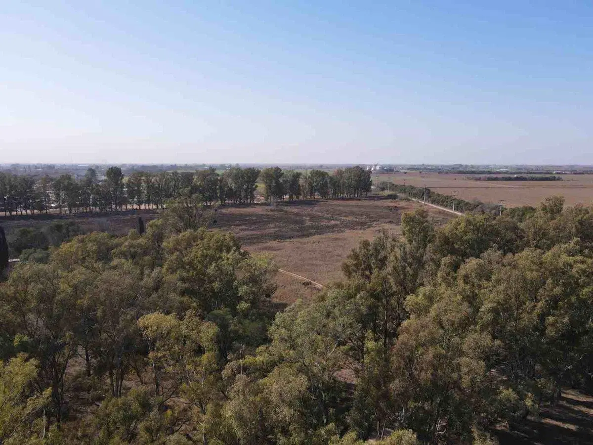 VENTA TERRENO 5HAS EN B FERREYRA CÓRDOBA 5
