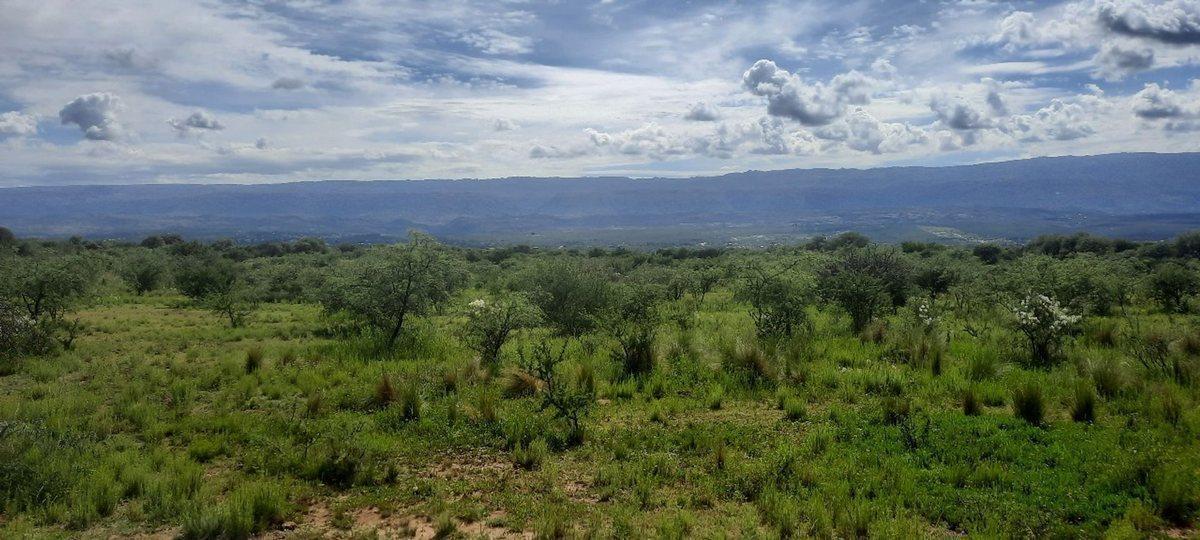 VENTA LOTE EN MINA CLAVERO