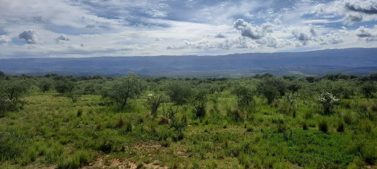 VENTA LOTE EN MINA CLAVERO 2