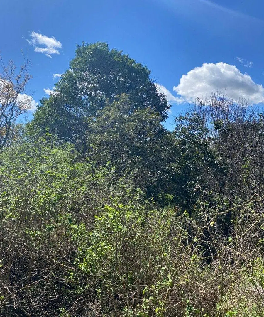 LOTE 884m2 B° SERRANIAS - RIO CEBALLOS C/ESCRITURA 2