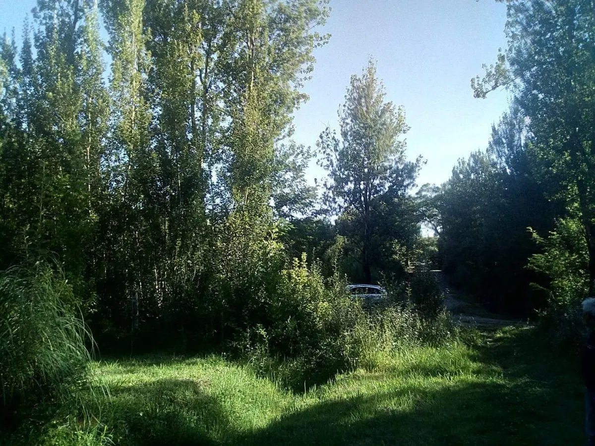 SE VENDE TERRENO EN YACANTO CALAMUCHITA 300 m2 3