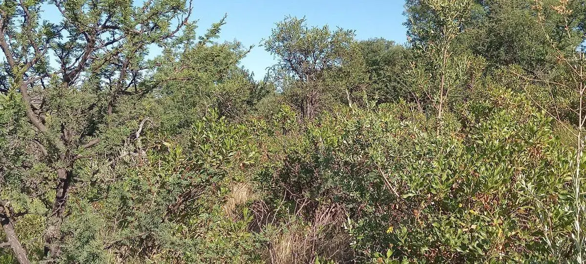 VENTA DE TERRENO DE 1700m CAPILLA DEL MONTE 4