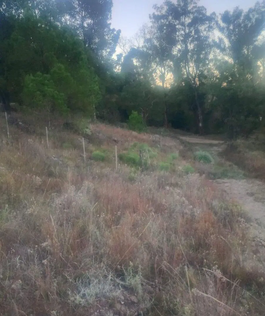 VENTA LOTE EN VILLA YACANTO 900 M2 CON ESCRITURA 5