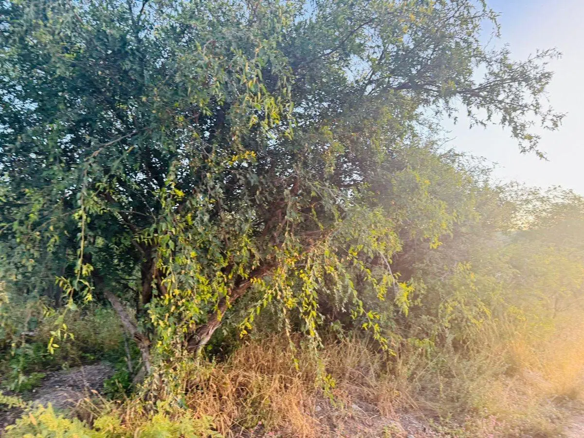 LOTE DE 600 MTS EN CAPILLA DEL MONTE HERMOSA VISTA 3