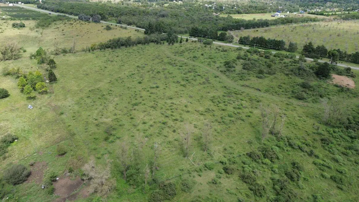 EXCEPCIONAL LOTE 61 HA AL LADO VIÑEDOS MOLVENTO 5