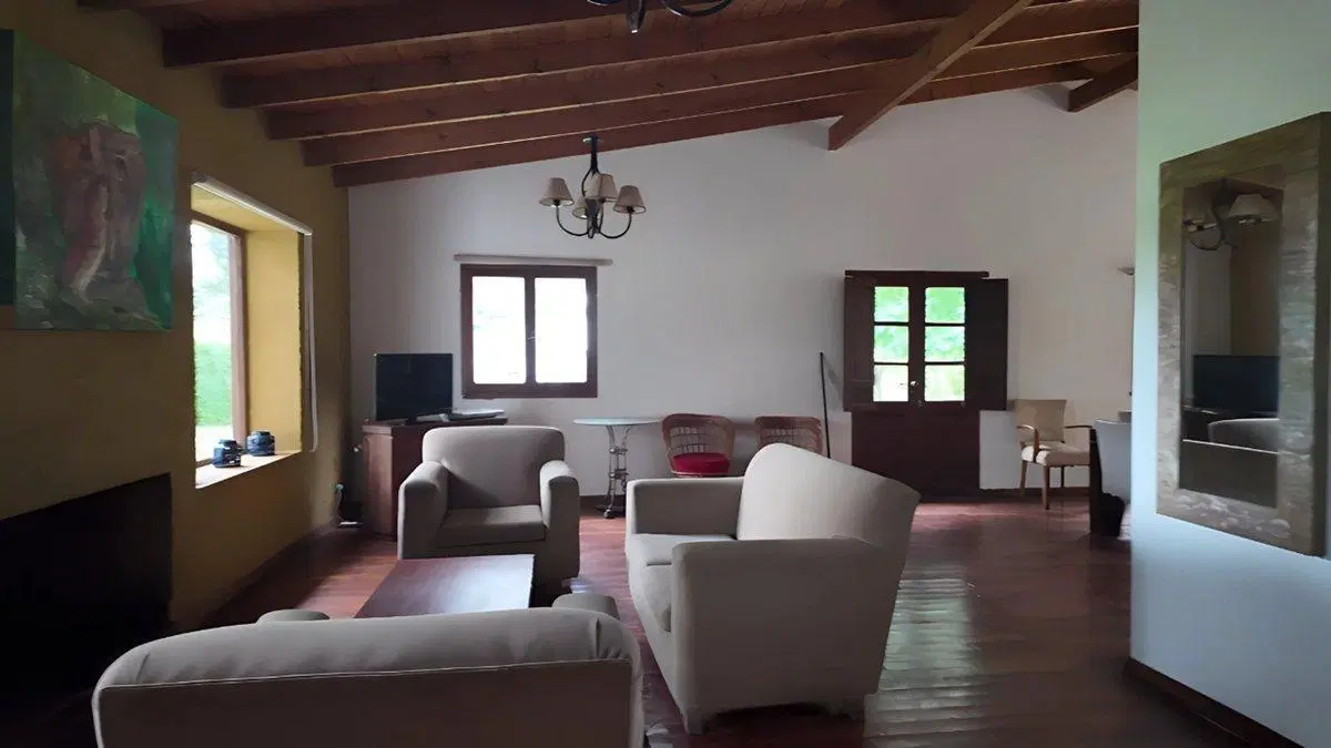 EXCEPCIONAL LOTE 61 HA AL LADO VIÑEDOS MOLVENTO 3