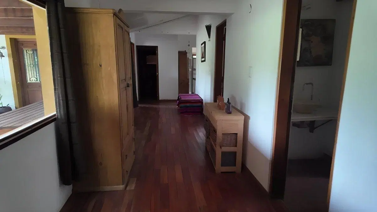 EXCEPCIONAL LOTE 61 HA AL LADO VIÑEDOS MOLVENTO 4