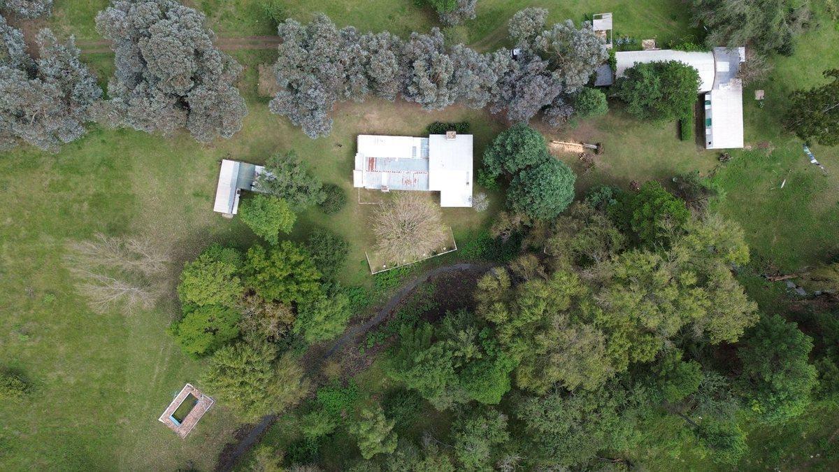 EXCEPCIONAL LOTE 61 HA AL LADO VIÑEDOS MOLVENTO