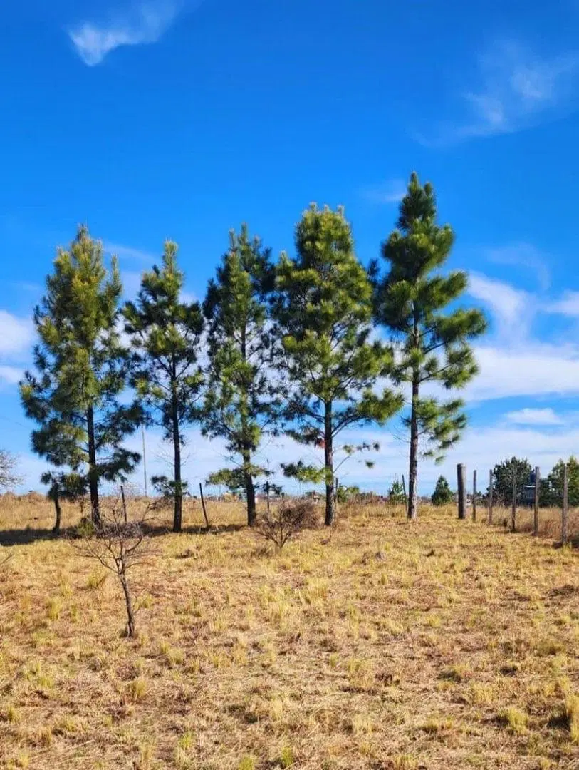 VENTA LOTE EN YACANTO 400 M2 ESCRITURA VISTAS 4
