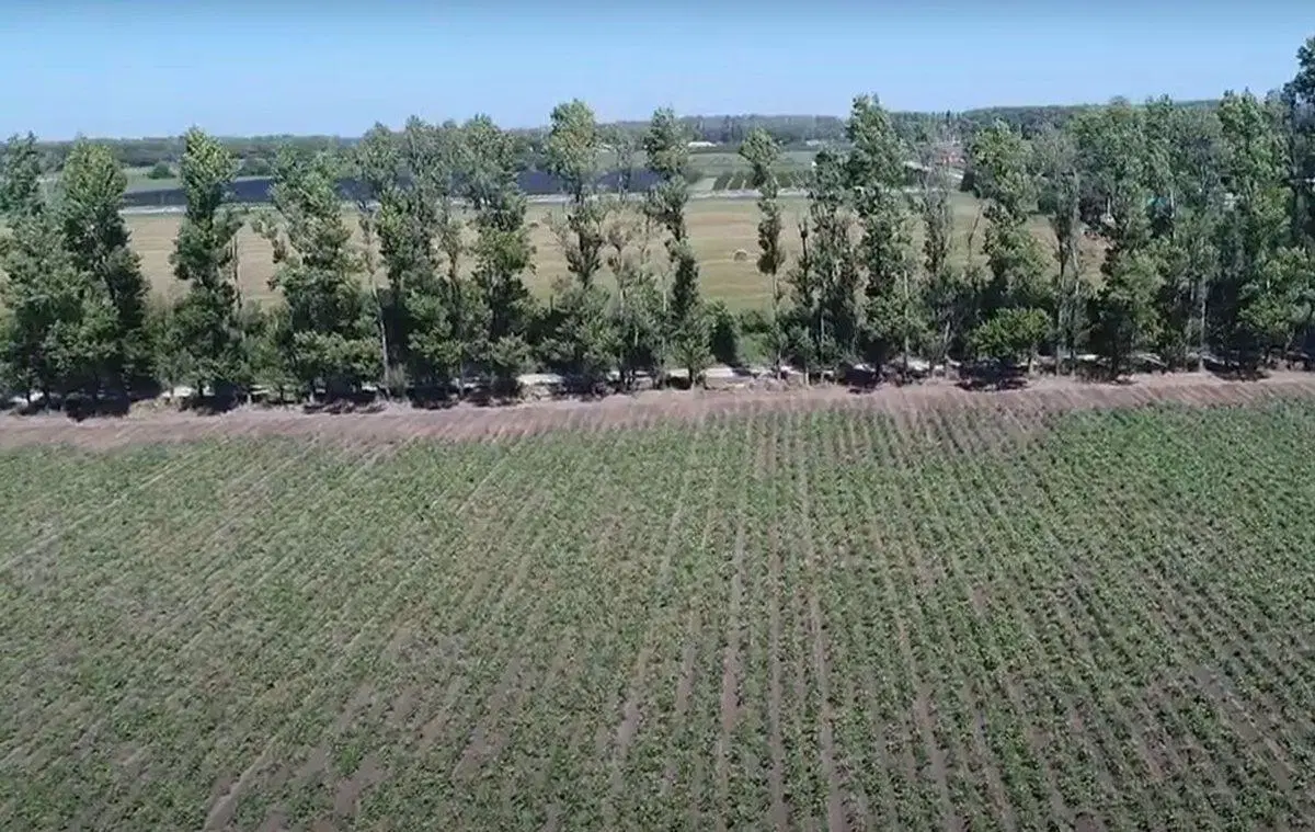 Chacra en venta en Colonia Caroya 4,87 Ha. 5