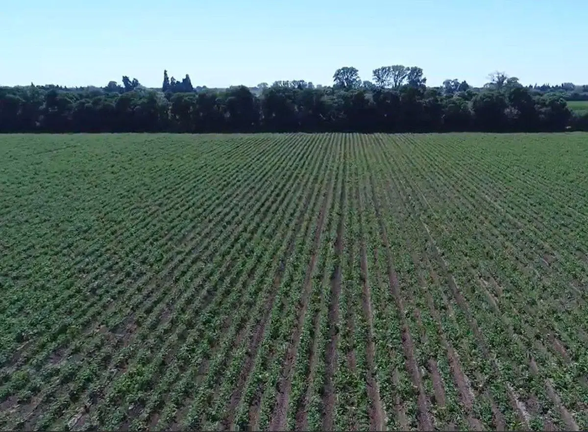 Chacra en venta en Colonia Caroya 4,87 Ha. 3