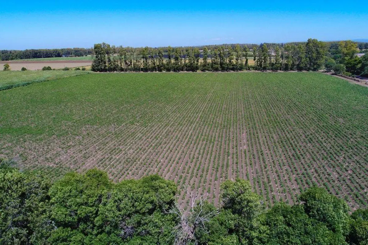 Chacra en venta en Colonia Caroya 4,87 Ha. 2