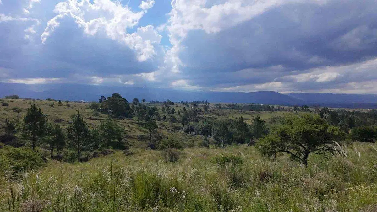 SE VENDE GRAN FRACCION 1.6 H EN VILLA YACANTO 4