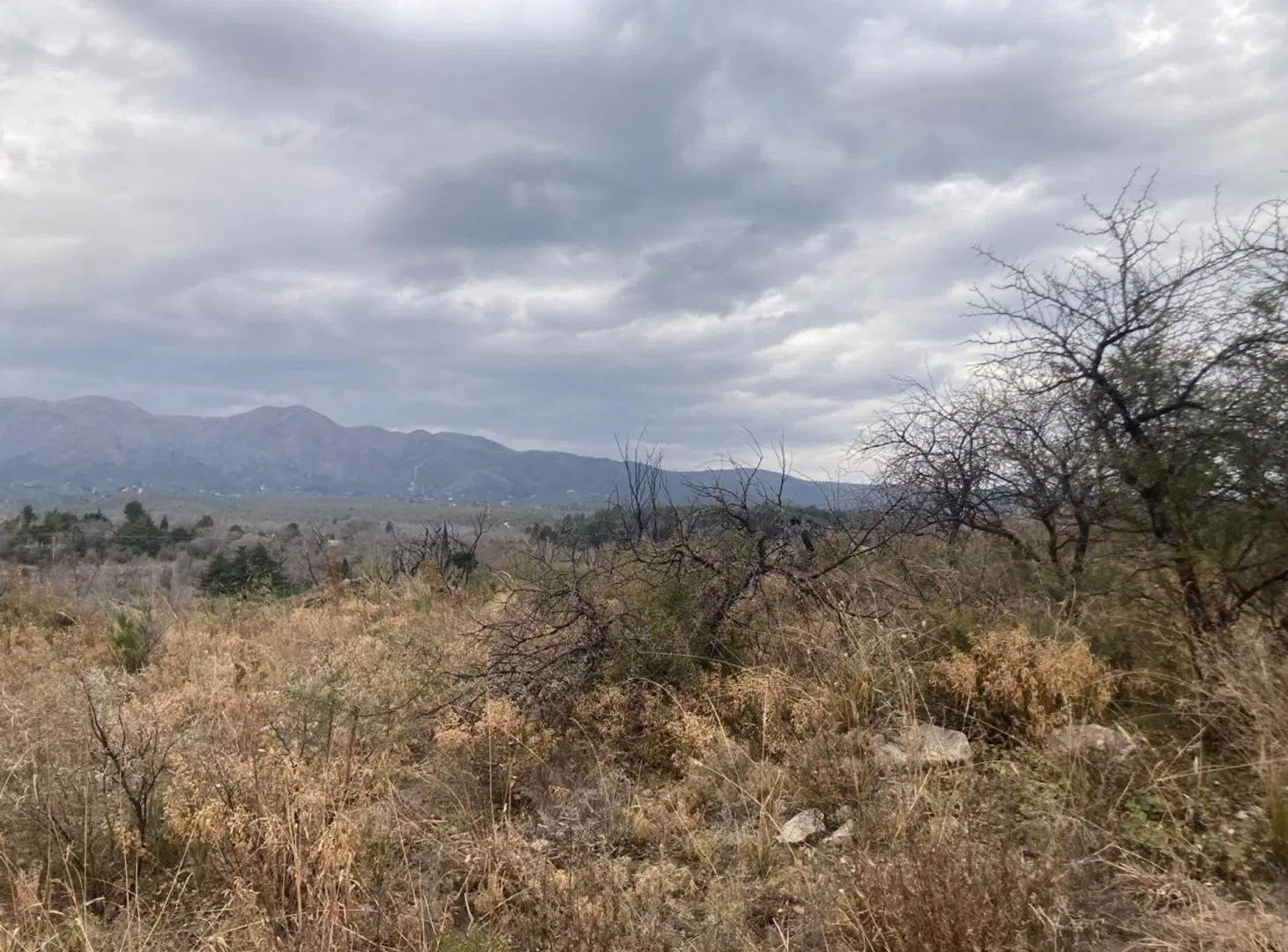 VENTA DE TERRENO 2 HECTAREAS, SAN ESTEBAN. PUNILLA 2