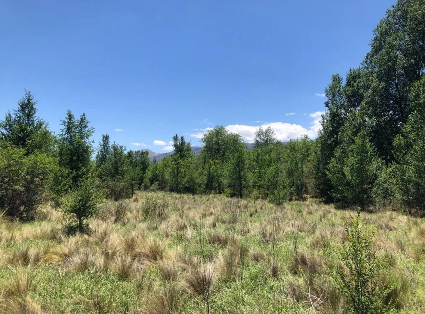 VENTA DE TERRENO 2 HECTAREAS, SAN ESTEBAN. PUNILLA 4