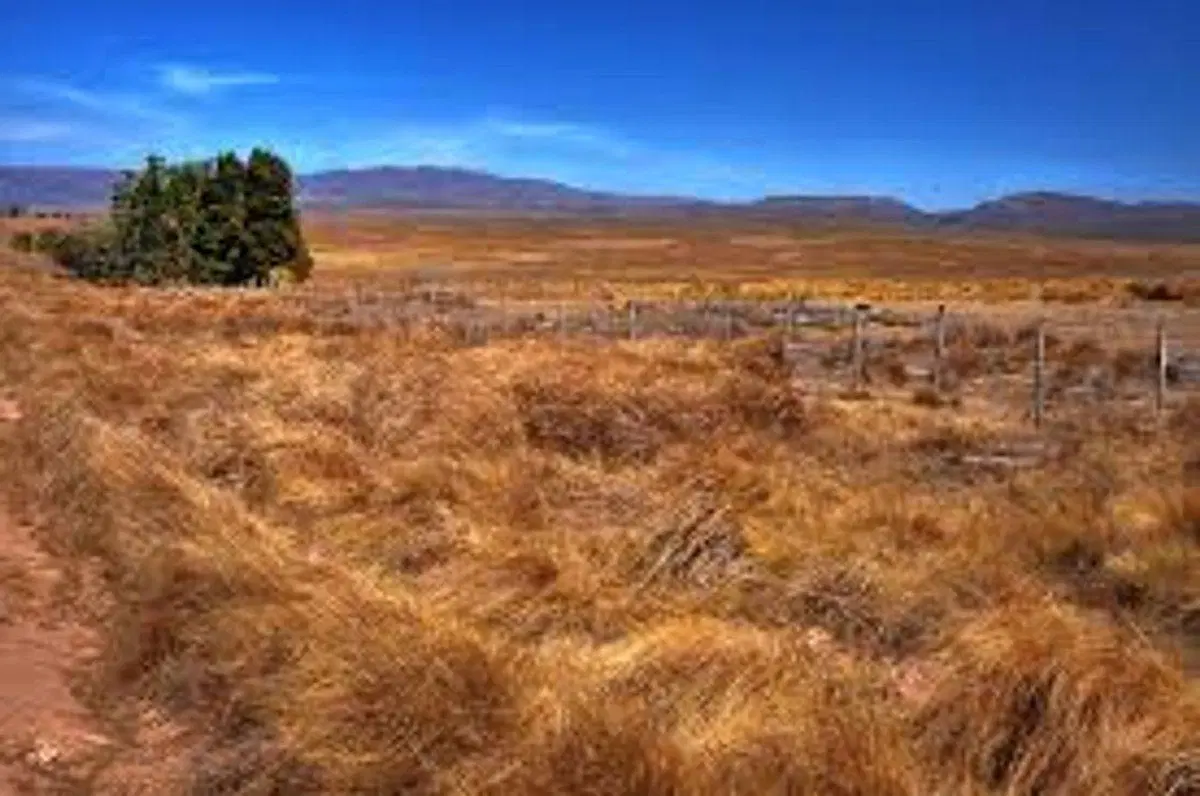 VENTA LOTES  1260 m2 PAMPA ALTA POTRERO DE GARAY 5