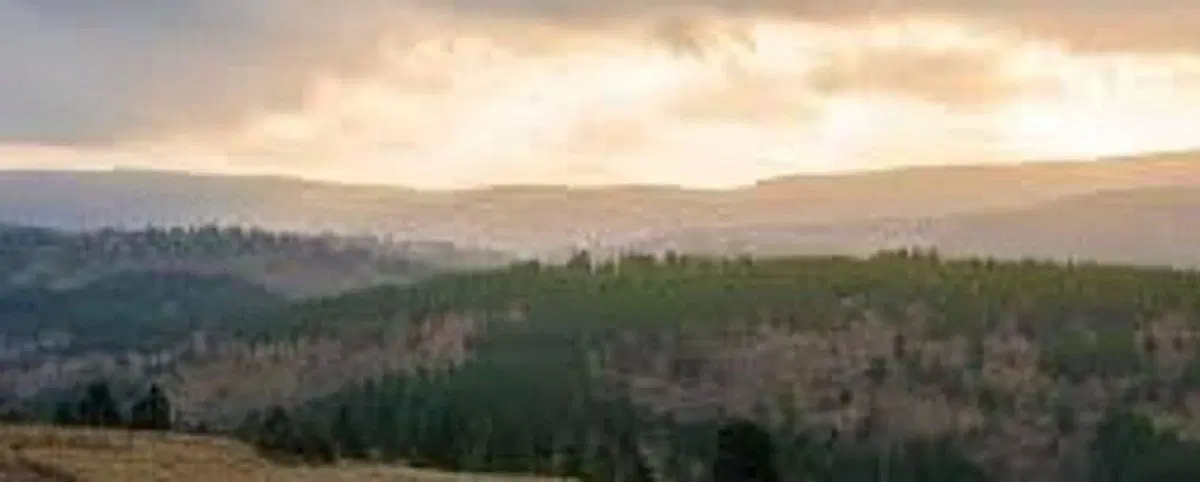 VENTA LOTES  1260 m2 PAMPA ALTA POTRERO DE GARAY 2