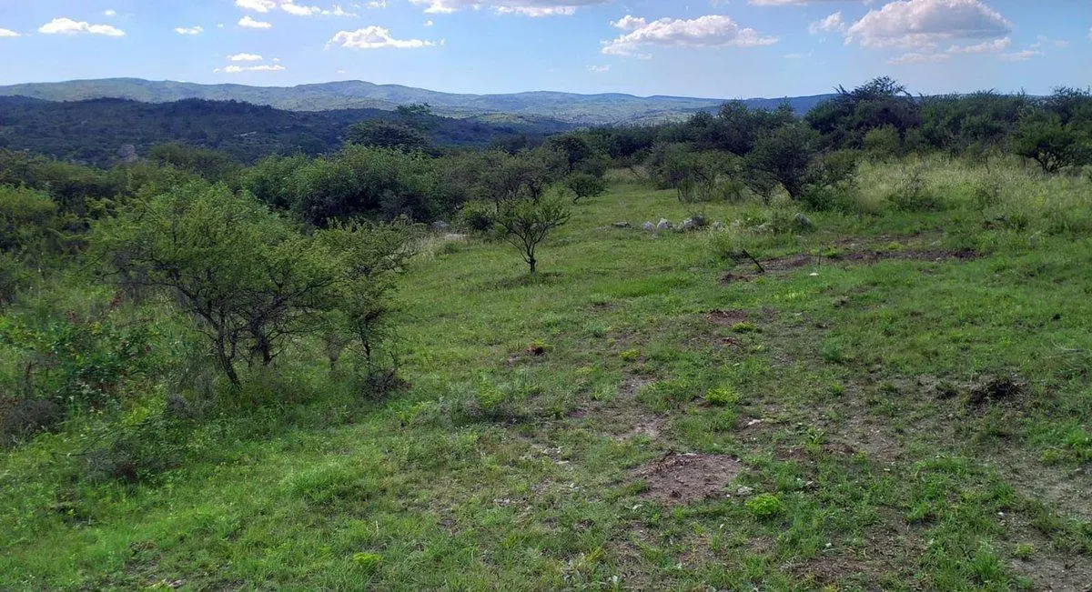 CAMPO EN LA FALDA 17 HECTAREAS ARROYO NATURAL 2