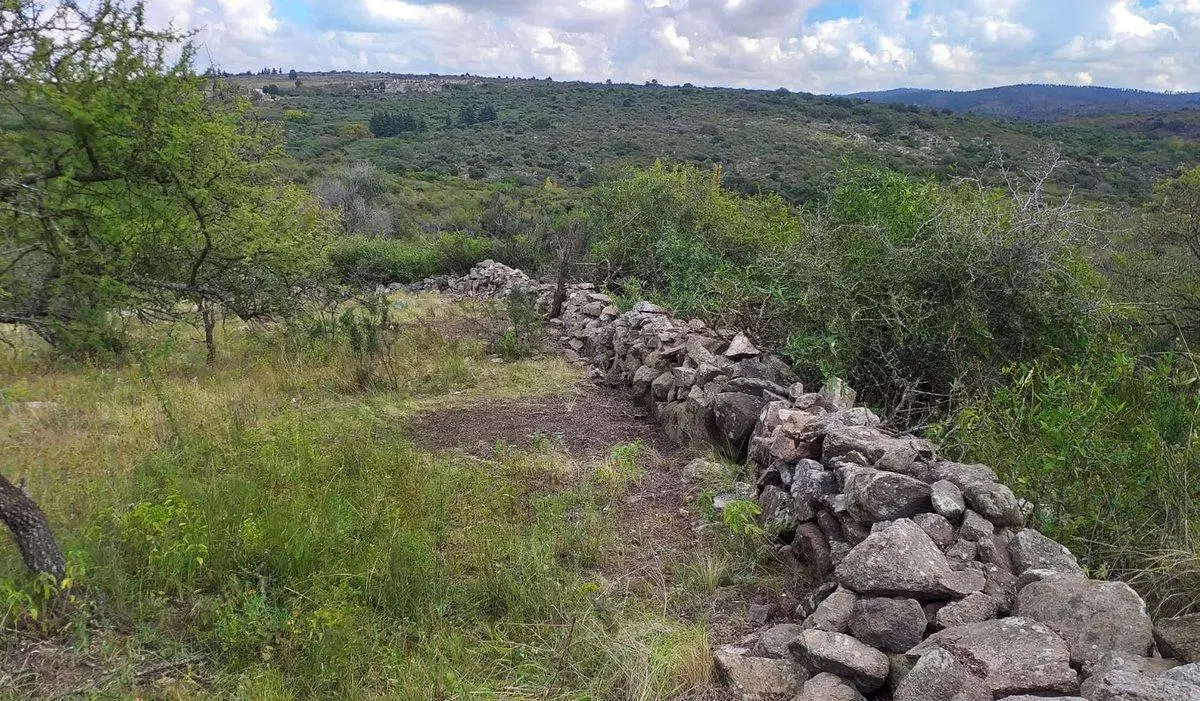 SE VENDE LOTE EN LA FALDA DE 3,5 HECTAREAS 5