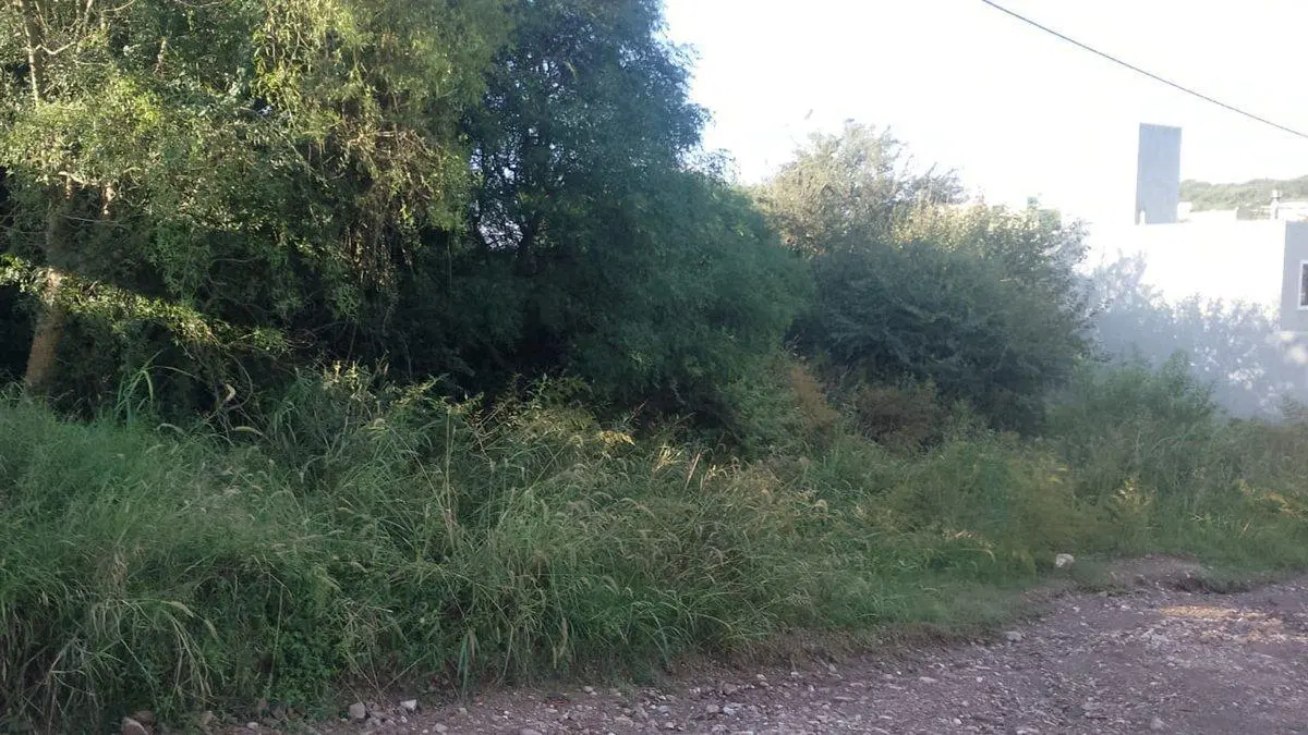 LOTE VENTA SALSIPUEDES 600m2- 2 LOTES X USD 20.000 5