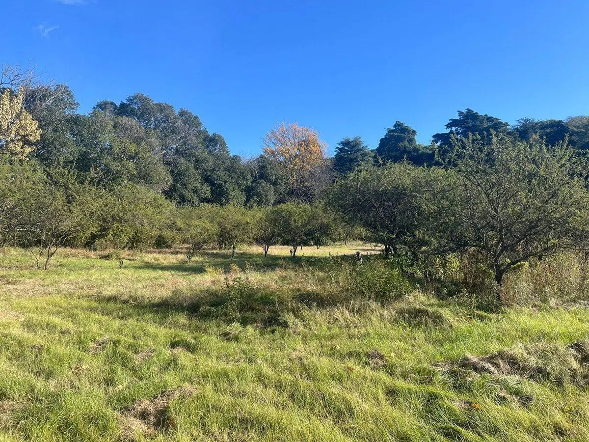 Excelente lote a metros del Centro de la Granja 5