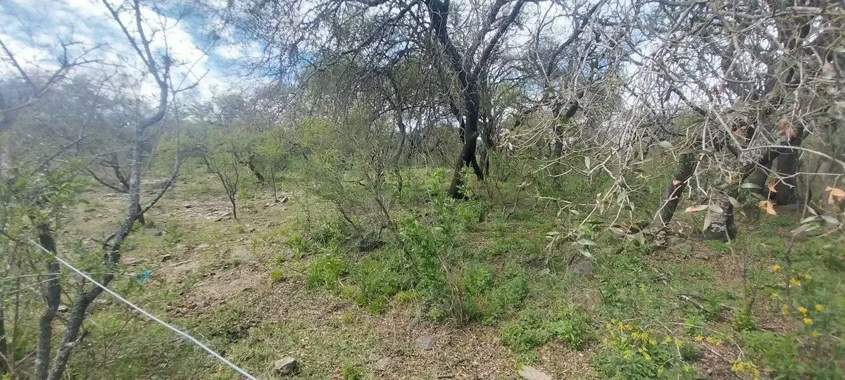 SE VENDE TERRENO 1993m2 EL PARADOR DE LA MONTAÑA 5