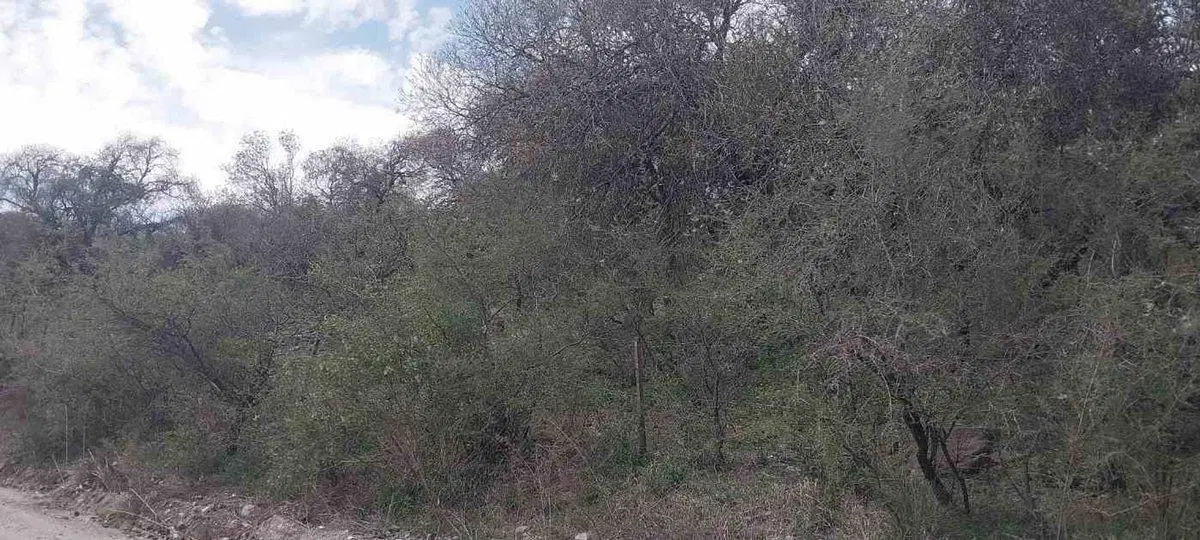 SE VENDE TERRENO 1993m2 EL PARADOR DE LA MONTAÑA 3