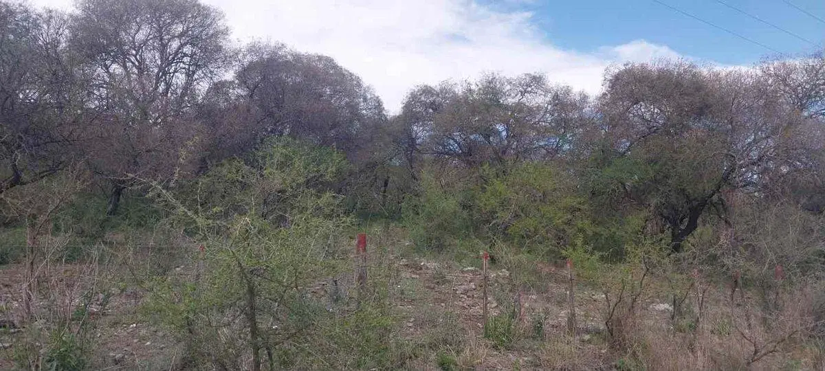 SE VENDE TERRENO 1993m2 EL PARADOR DE LA MONTAÑA 2