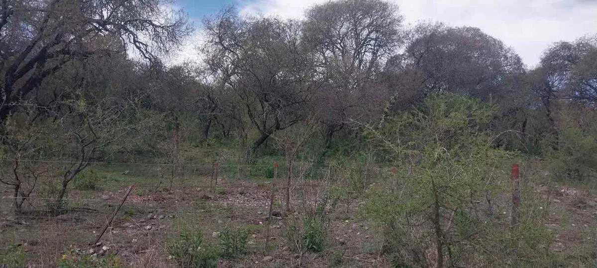 SE VENDE TERRENO 1993m2 EL PARADOR DE LA MONTAÑA 4
