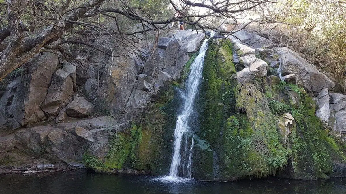 SE VENDE TERRENO 1993m2 EL PARADOR DE LA MONTAÑA 5
